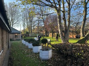 clearing leaves hrc Wellbeing Ashwood