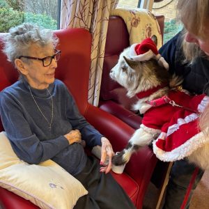 goat 6 Wellbeing Wisden