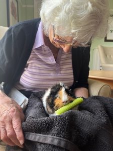 3 Wellbeing Mill House