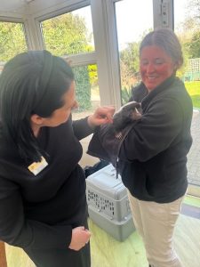 4 Wellbeing Mill House