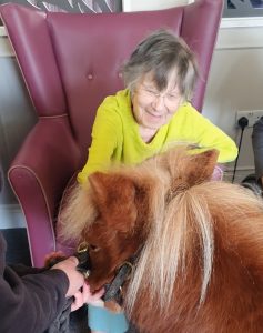 Screenshot 20260304 123710 Gallery Wellbeing Brewster