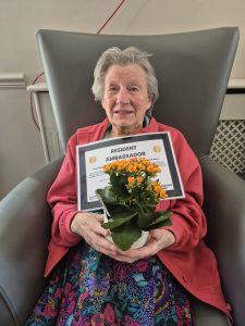 1000036699 Wellbeing Windmill