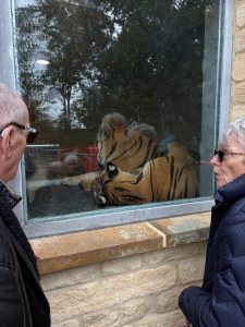 zoo picture 7 Wellbeing Wisden