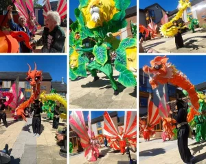 Carnival Photo Collage jpg