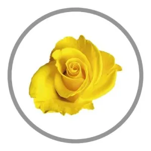 runwoodfavicon jpg