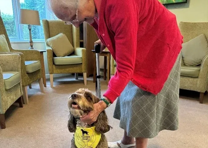 Therapy Dog ‘Nancy’ Brings Joy to Bramwell Care Home Residents 6 Picture1 jpg e1721813922193