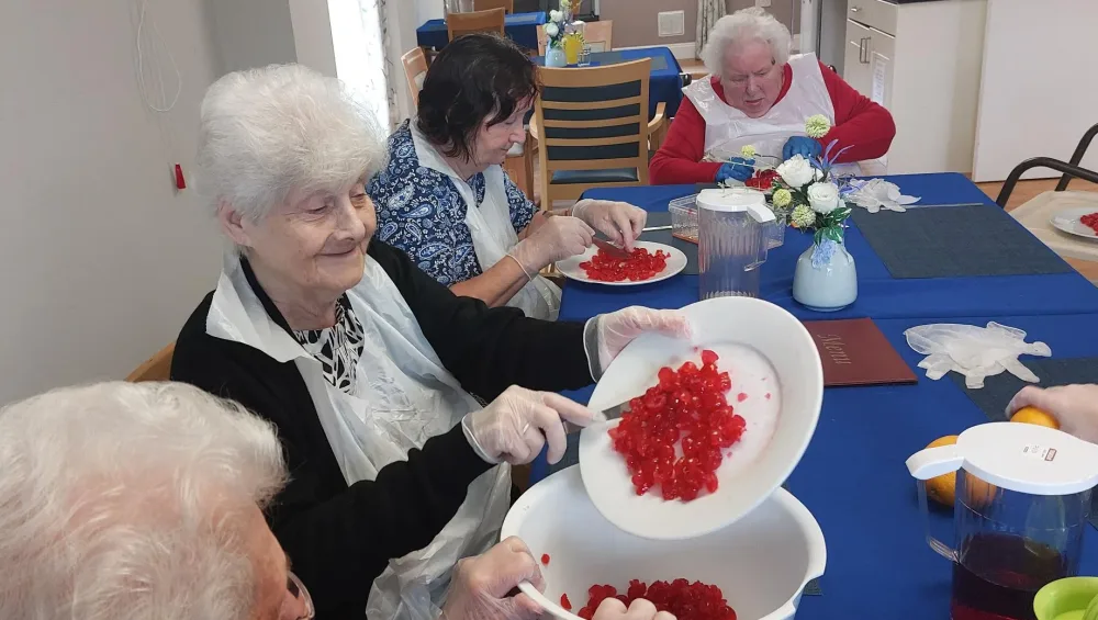 mulberry court jpg e1732017681844