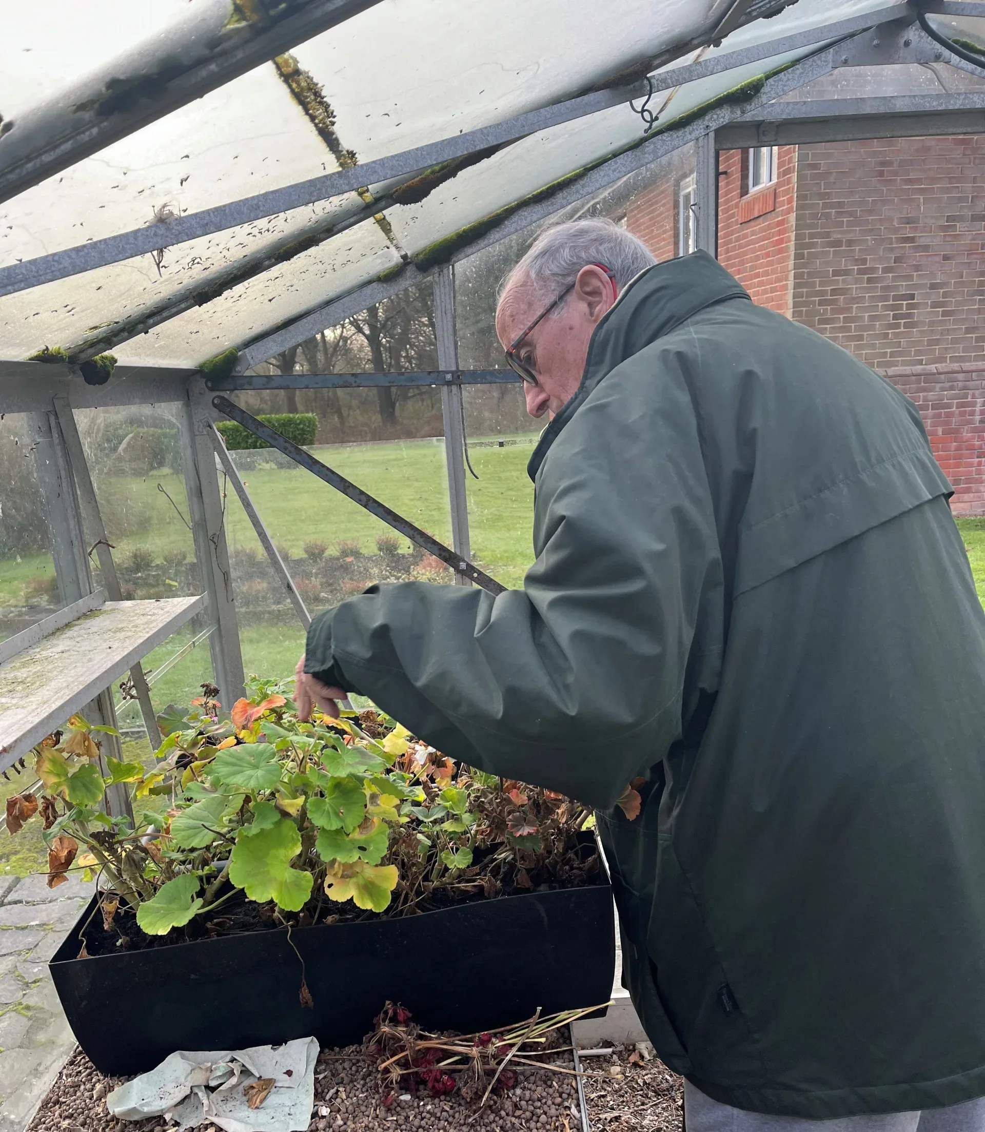 greenplant Wellbeing Heron scaled e1737126223324