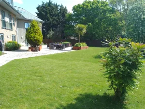 Garden 5