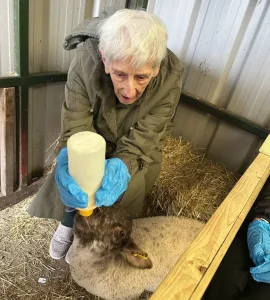 Lamb7 Manager Ashwood e1743754911199