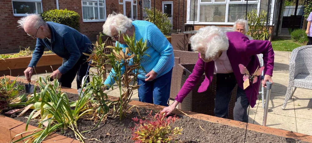 garden4 Wellbeing longview e1747058703111