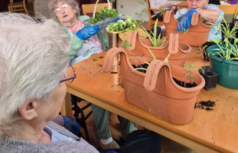 Sustainable Gardening at Mulberry Court 1 IMG 20250604 WA0005 Wellbeing Mulberry jpg e1749735875728
