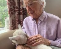 goat 9 Wellbeing Parkview jpg e1749201737168
