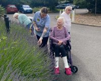 lav1 Wellbeing longview jpg e1750254259403