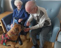 pet2 Wellbeing longview jpg e1750080914525