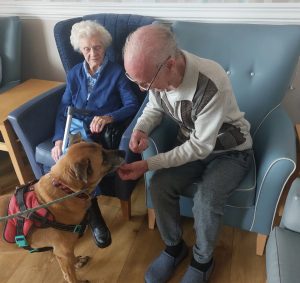pet2 Wellbeing longview jpg e1750080914525