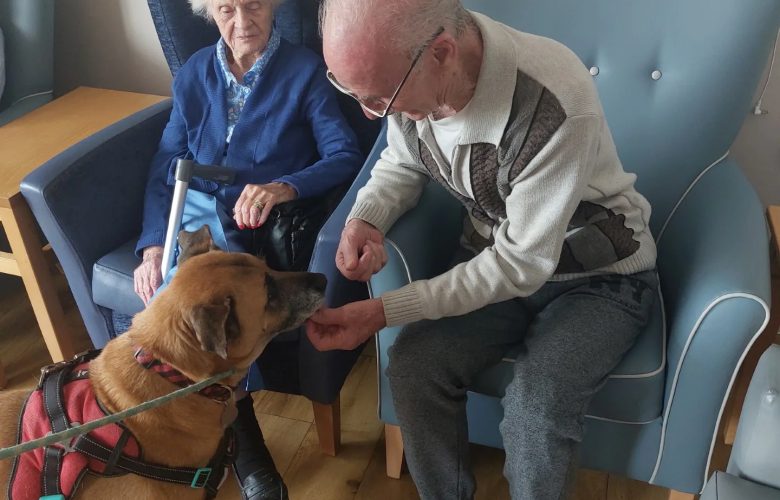 pet2 Wellbeing longview jpg e1750080914525