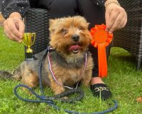 Dog Show Leanne Simms jpg e1754644151411