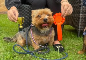Dog Show Leanne Simms jpg e1754644151411