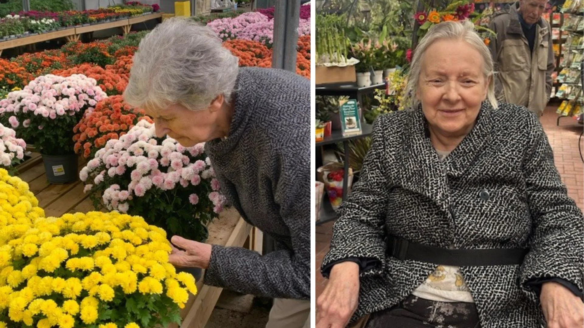 Runwood Homes Group brochure cover 18 jpg