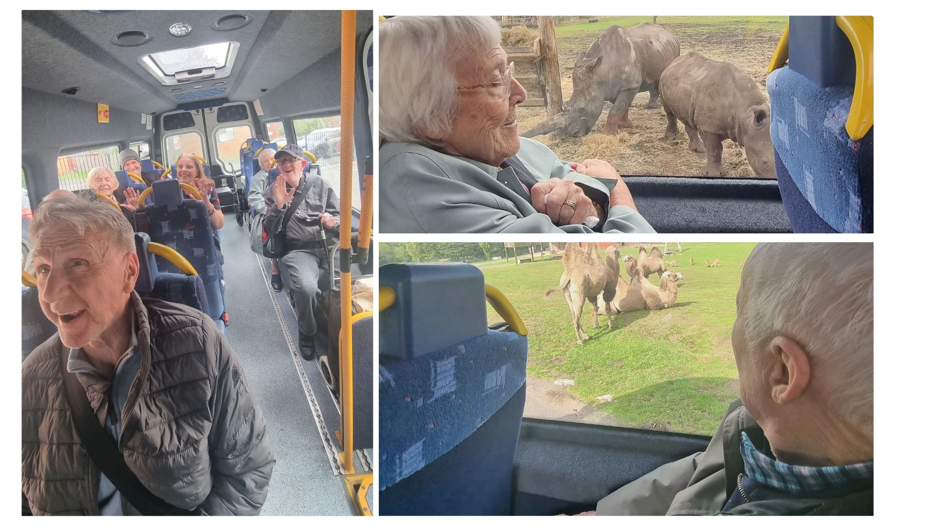 Safari image collage jpg