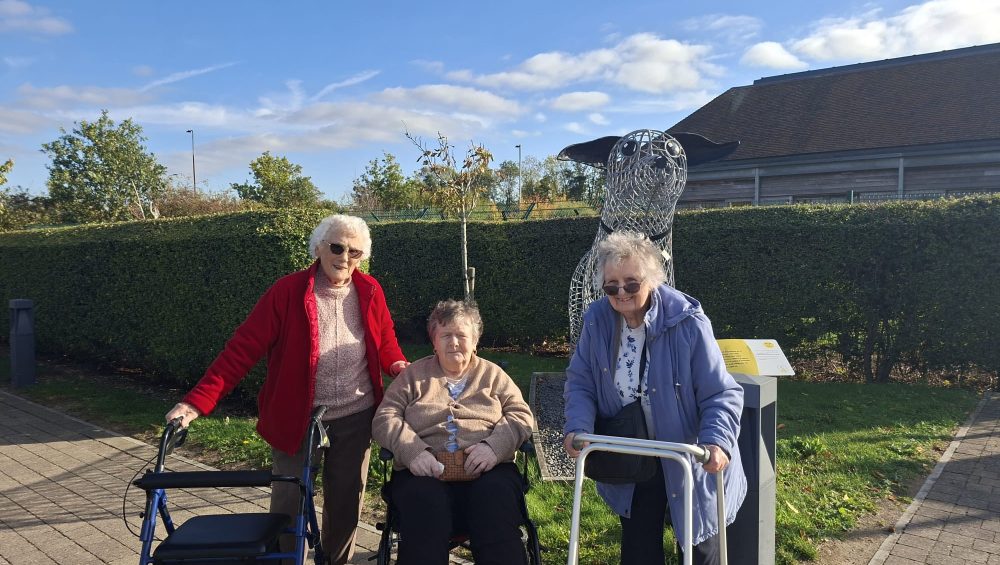 559136164 819576400570582 1635161841716484770 Wellbeing The Grange