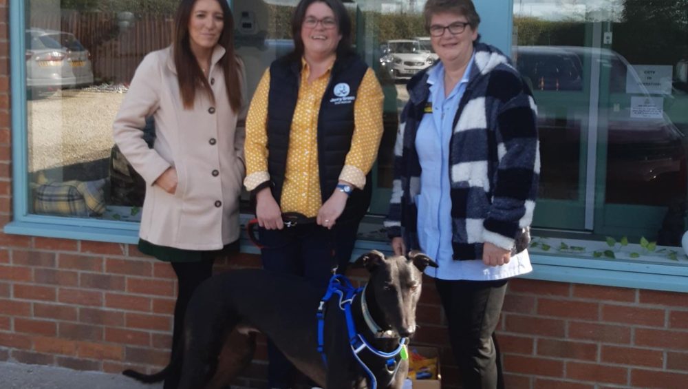 Dog donations