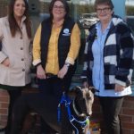 Dog donations