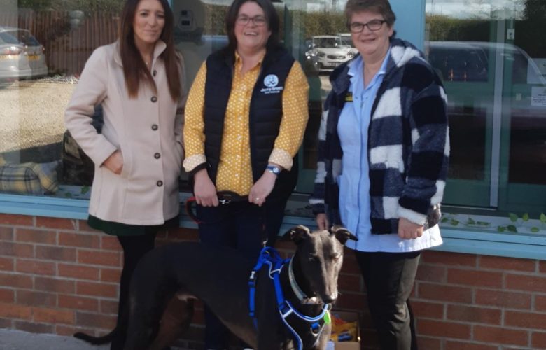 Dog donations