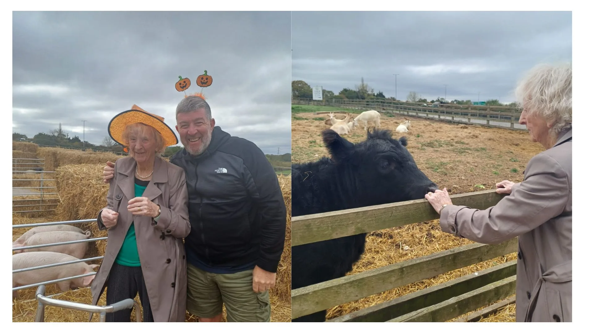 Press release images collage templates 53 jpg