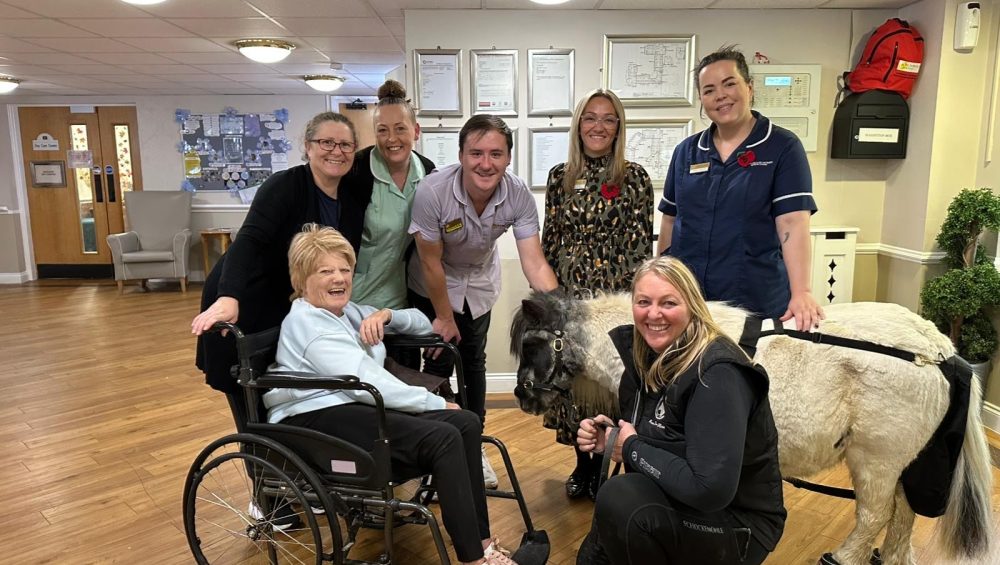 Highview Lodge Residents Enjoy a Visit from Gizzy the Shetland Pony 1 7 Manager Highview 1
