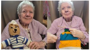 Knitted teddies