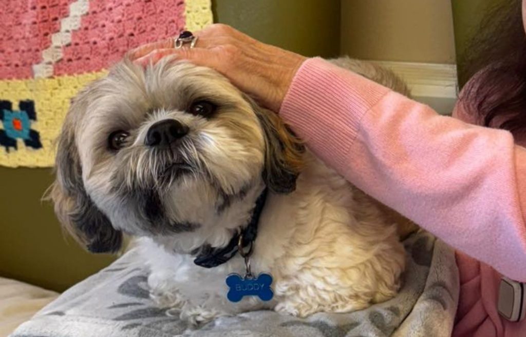 Highview Day Centre Website Contents 1