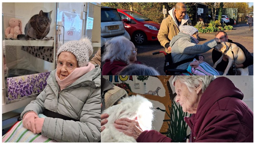 Press release images collage templates 2025 12 04T141052.418