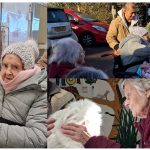 Press release images collage templates 2025 12 04T141052.418