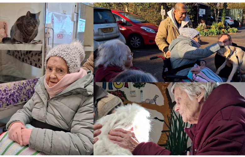 Redbond Lodge Residents Enjoy Heart-Warming Visit to Danaher Animal Home 6 Press release images collage templates 2025 12 04T141052.418