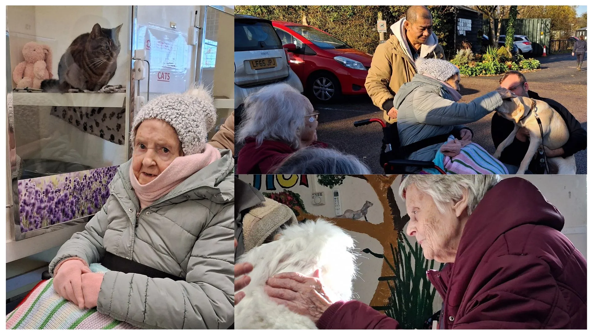 Press release images collage templates 2025 12 04T141052.418 jpg