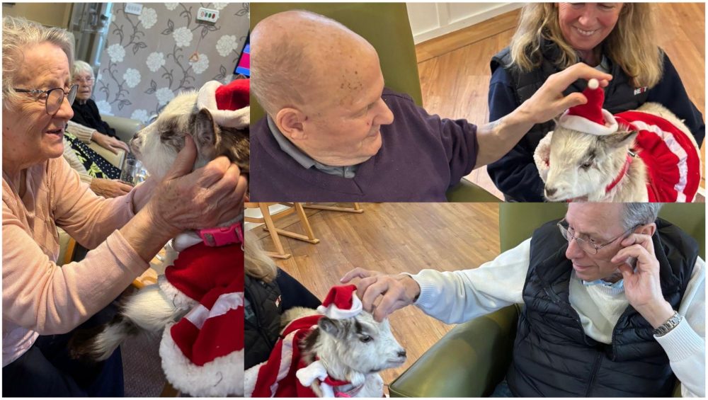 Press release images collage templates 29 1