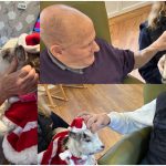 Press release images collage templates 29 1