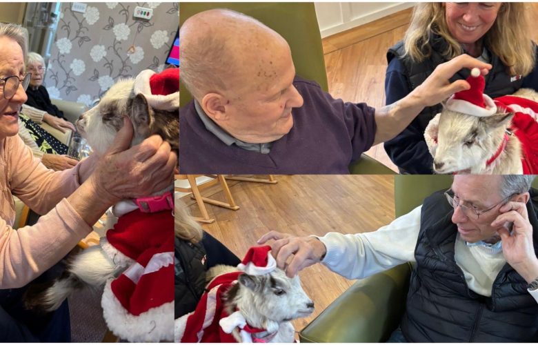 Press release images collage templates 29 1