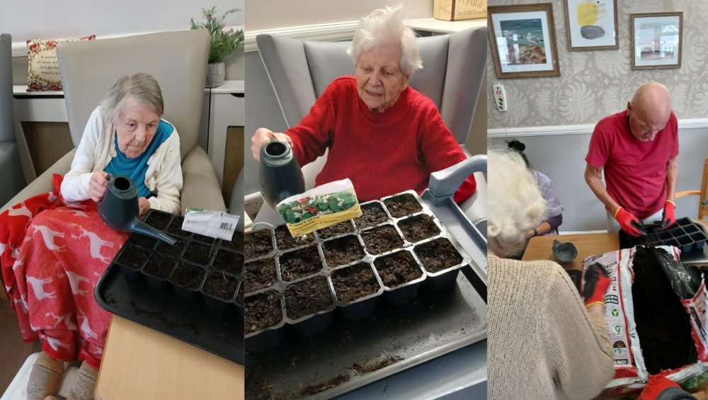 Press release images collage templates 2026 01 28T121445.747