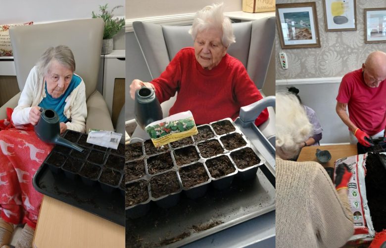 Press release images collage templates 2026 01 28T121445.747