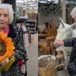 Press release images collage templates 61 1