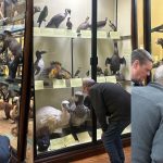 Press release images collage templates 72