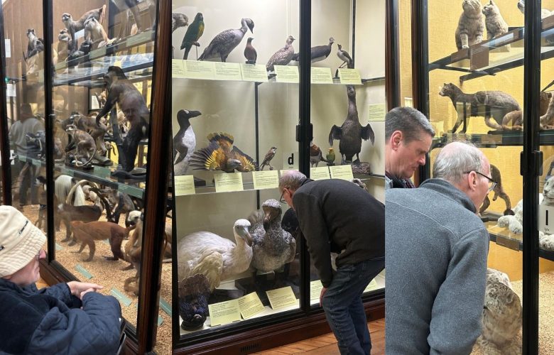 Press release images collage templates 72