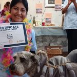 Press release images collage templates 81