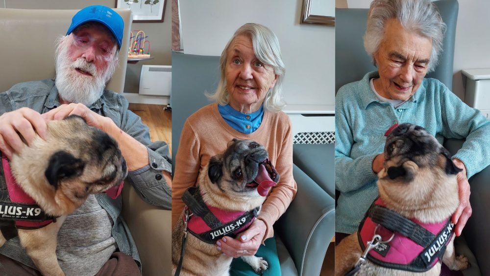 Press release images collage templates 82