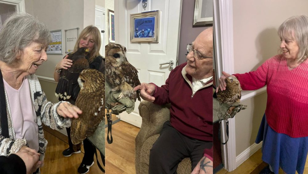 Press release images collage templates 91