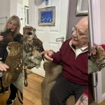 Press release images collage templates 91