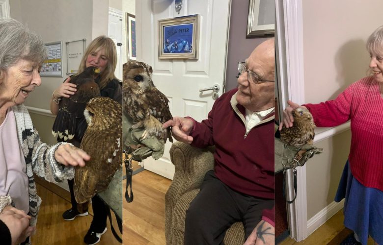 Press release images collage templates 91